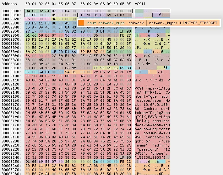 图 3.1：使用 ImHex 打开 Pcap 文件