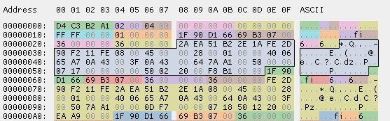 图 3.3.1 使用 ImHex 查看第一个数据包的数据体