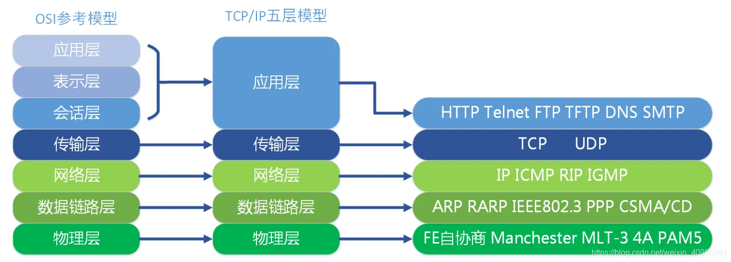 图 3.3.3 网络模型和协议